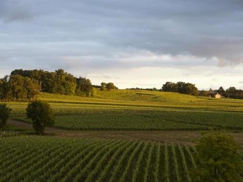 Chateau La Rose Perriere Lussac  المظهر الخارجي الصورة