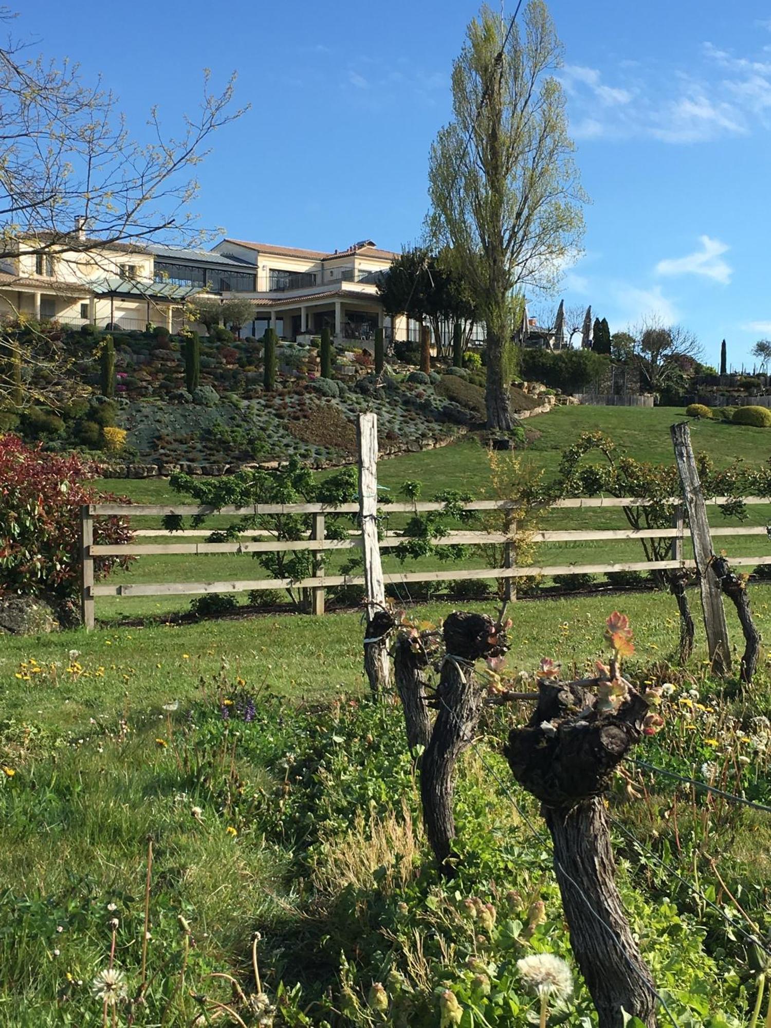 Chateau La Rose Perriere Lussac  المظهر الخارجي الصورة